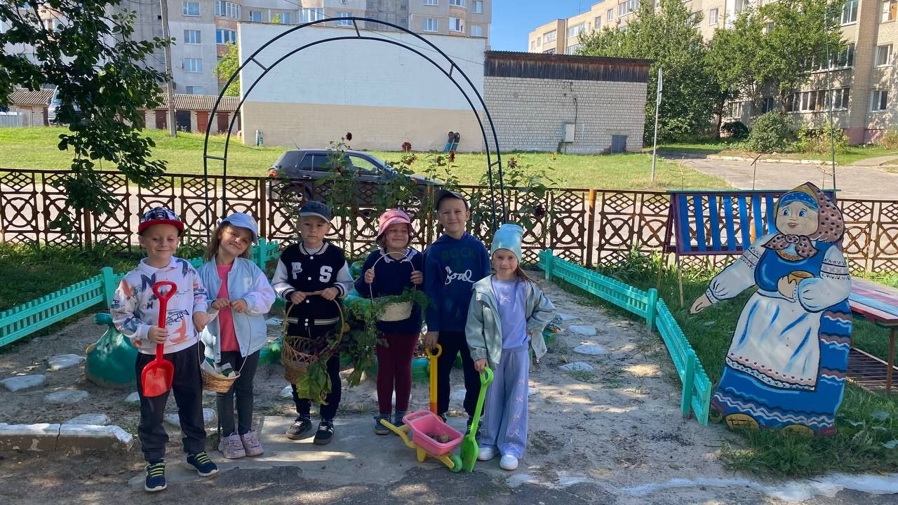 Урожайные грядки