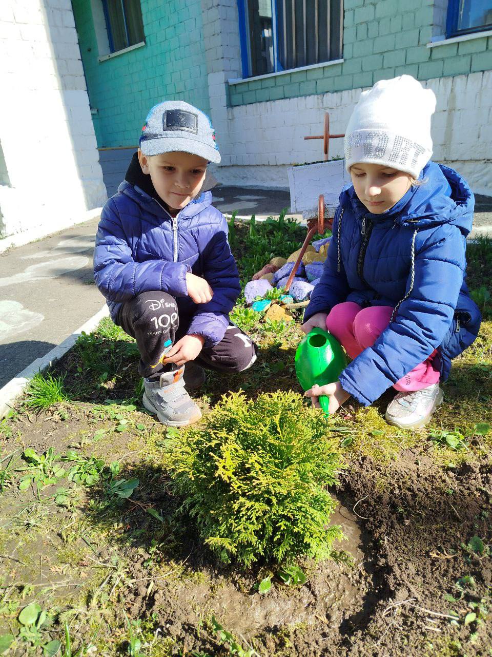 Посадим дерево вместе